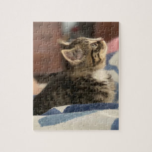 Cute Kitten   Leave this Pic or Add Your Own Photo Jigsaw Puzzle