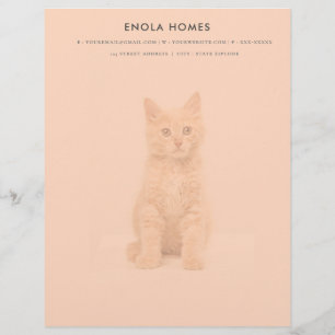 Cute kitten letterhead template