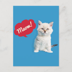Cute Kitten Meow Caption Postcard