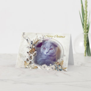 Cute kitten Merry Christmas card