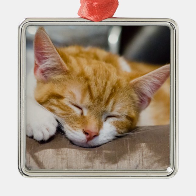 Cute Kitten Metal Tree Decoration (Front)