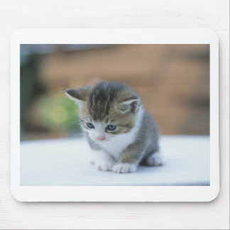 Cute Kitten Mouse Pad