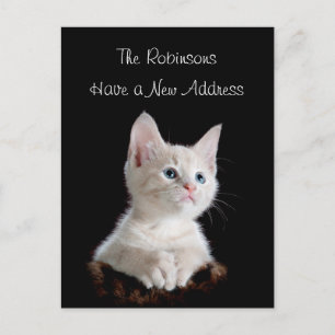 Cute Kitten New Address Announcement Postcard
