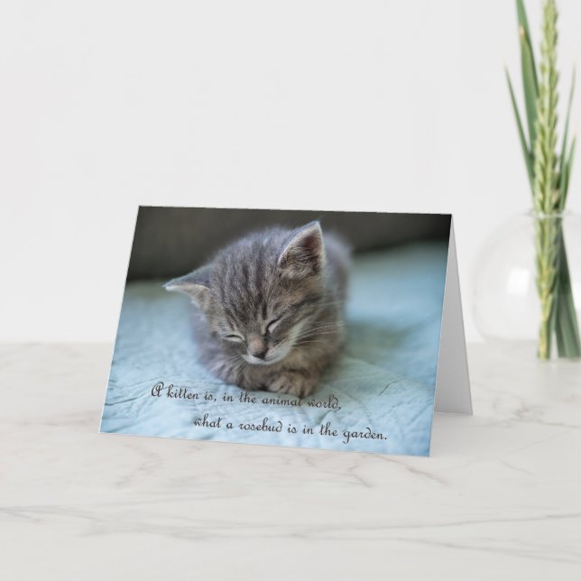 Cute Kitten Note Card (Front)