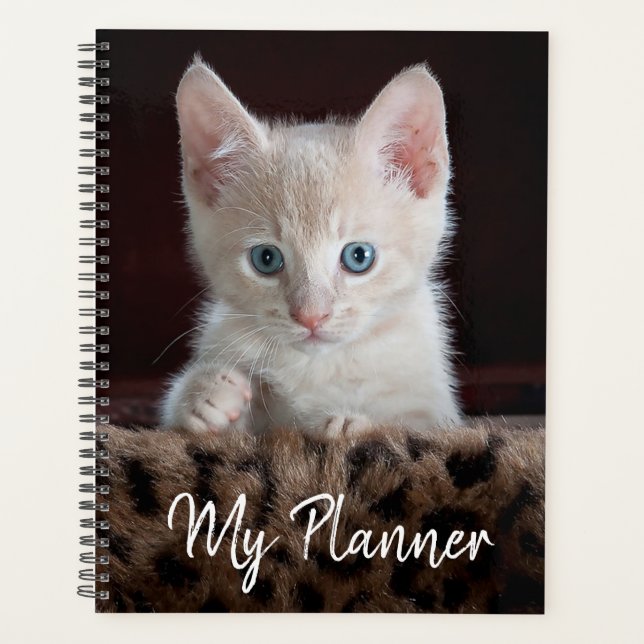 Cute Kitten Planner (Front)