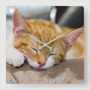 Cute Kitten Square Wall Clock