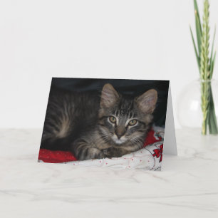 Cute Kitten Thank You Card