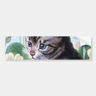 Cute kitten - vintage cat art bumper sticker