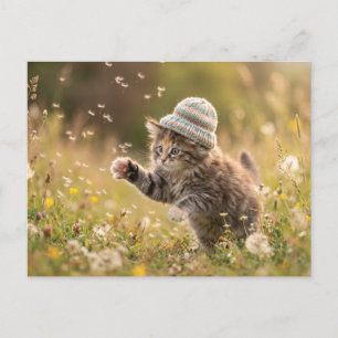 Cute Kitten Wearing a Hat Playing with Dandelions Holiday Postcard