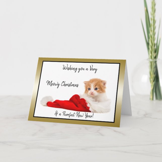 Cute Kitten Wishing You a Meowy  Christmas Holiday Card (Front)