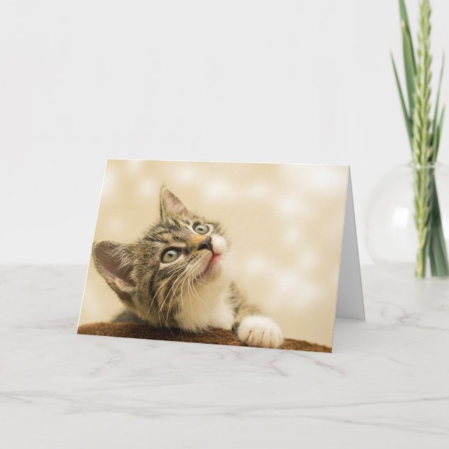 Cute Kitten with an Outstretched Paw Card (Front)