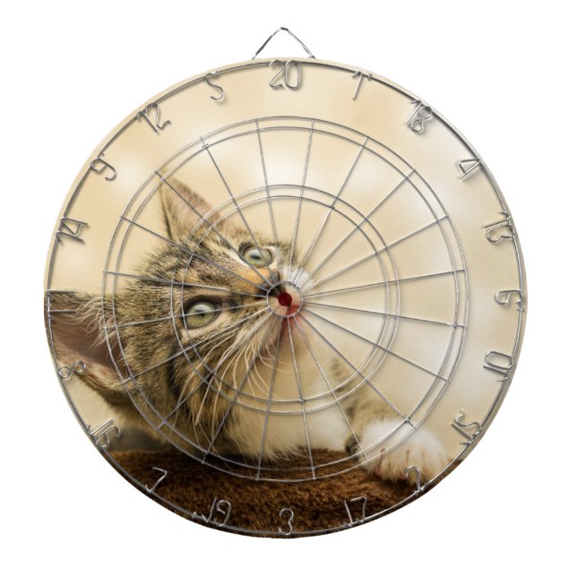Cute Kitten with an Outstretched Paw Dartboard (Front)