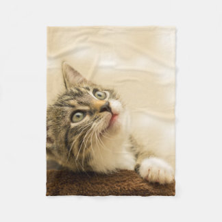 Cute Kitten with an Outstretched Paw Fleece Blanket