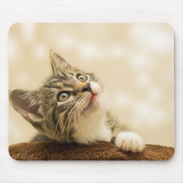 Cute Kitten with an Outstretched Paw Mouse Pad (Front)