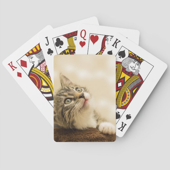 Cute Kitten with an Outstretched Paw Playing Cards (Back)