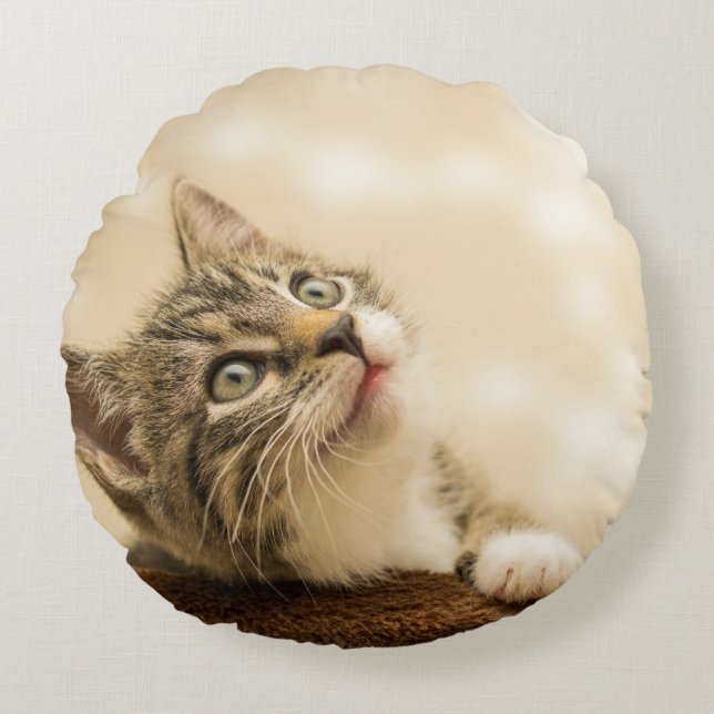 Cute Kitten with an Outstretched Paw Round Cushion (Front)