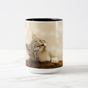 Cute Kitten with an Outstretched Paw Two-Tone Coffee Mug