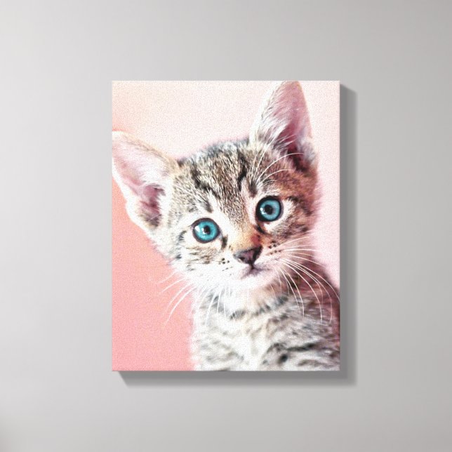 Cute kitten with blue eyes. canvas print (Front)