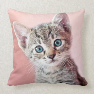 Cute kitten with blue eyes. cushion