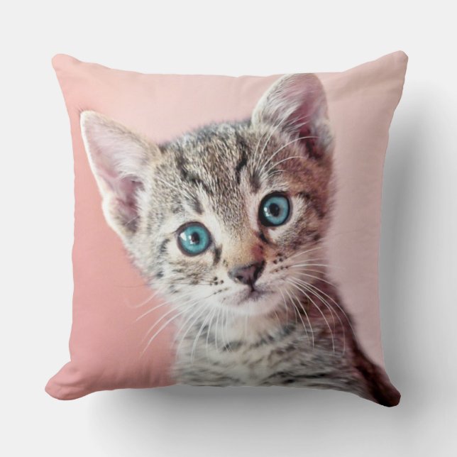 Cute kitten with blue eyes. cushion (Front)