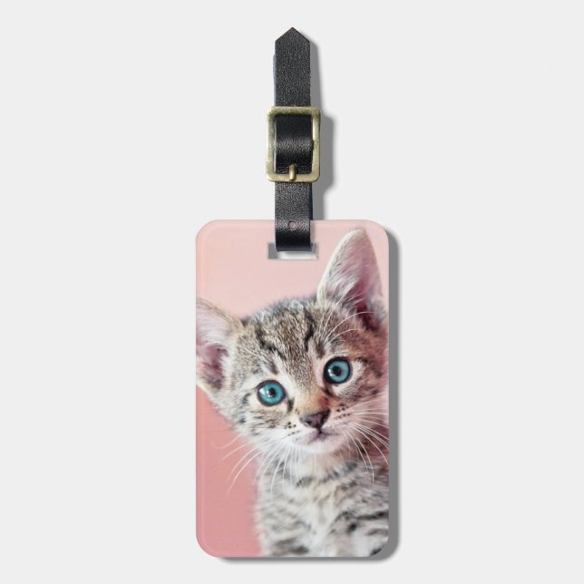 Cute kitten with blue eyes. luggage tag (Front Vertical)