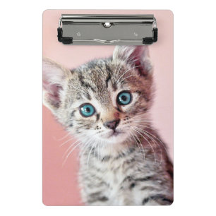 Cute kitten with blue eyes. mini clipboard