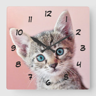Cute kitten with blue eyes. square wall clock