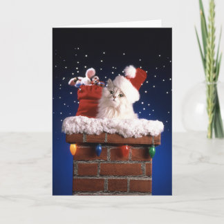 Cute kitten with Santa hat Holiday Card