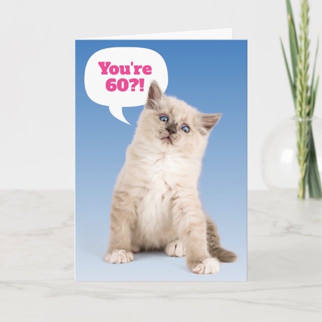 Cute Kitten You're 60?! Birthday Customisable Age Card (Front)