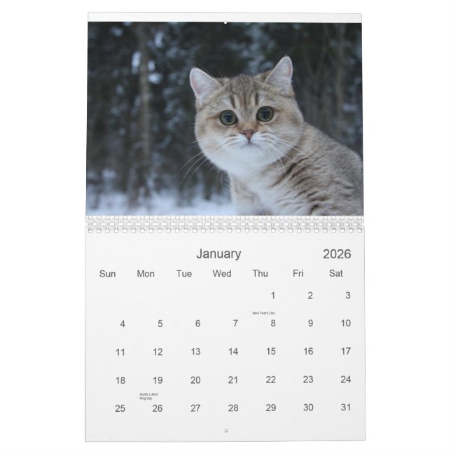 Cute Kittens 2012 Calendar (Jan 2026)