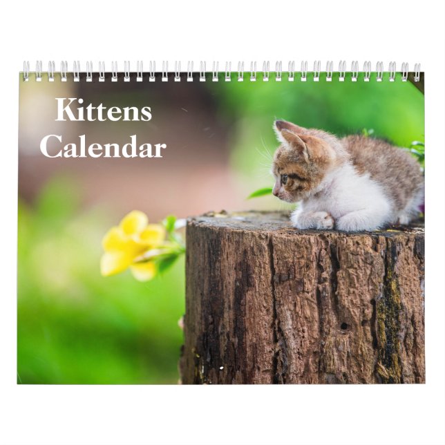 Cute Kittens 2027 Bengal Tiger Calendar (Cover)