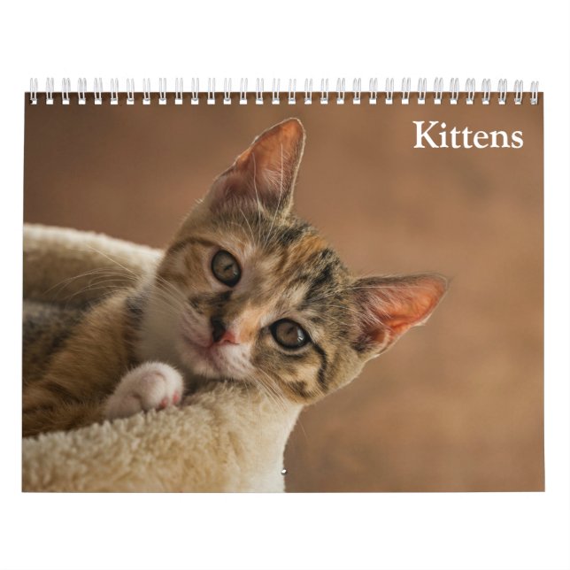 Cute Kittens 2027 Calendar (Cover)