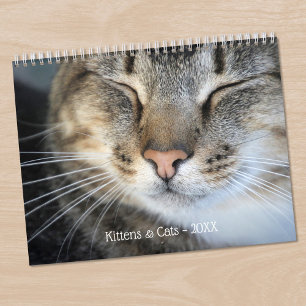 Cute Kittens and Cats 2025 Pet Photo Calendar