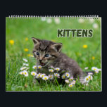 Cute Kittens  Calendar<br><div class="desc">Adorable kittens for cat lovers</div>
