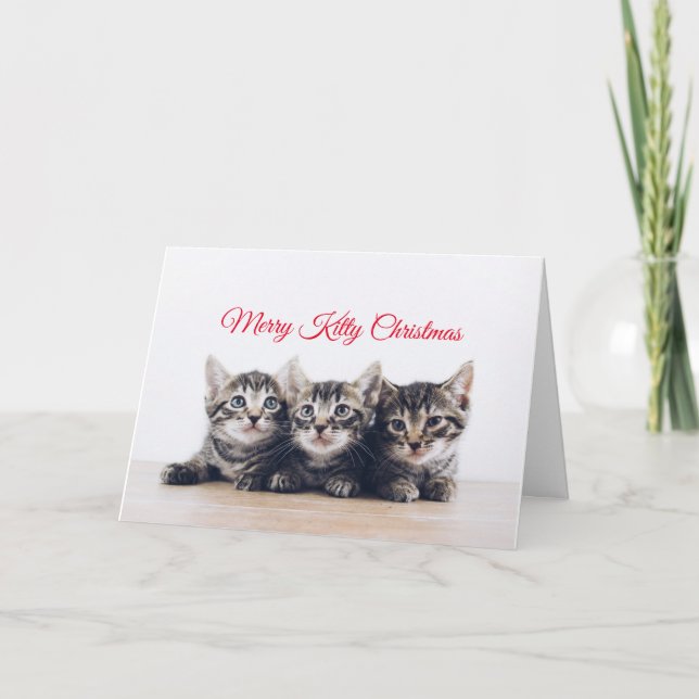 Cute Kittens Christmas Card (Front)