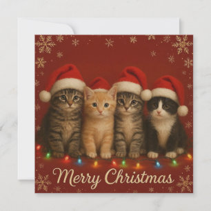 Cute kittens Christmas Card. Holiday Card
