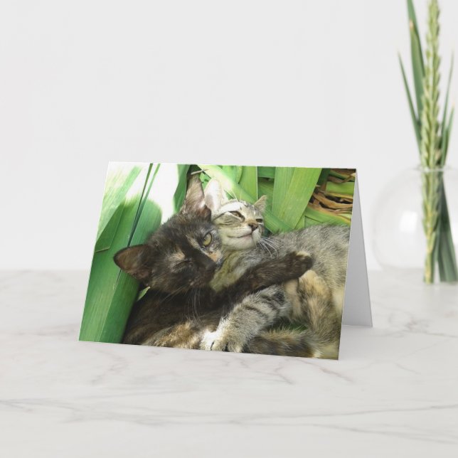 Cute Kittens Cuddling - blank card (Front)