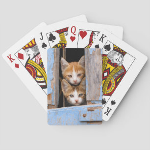 Cute Kittens in a Vintage Window, Playing Cards