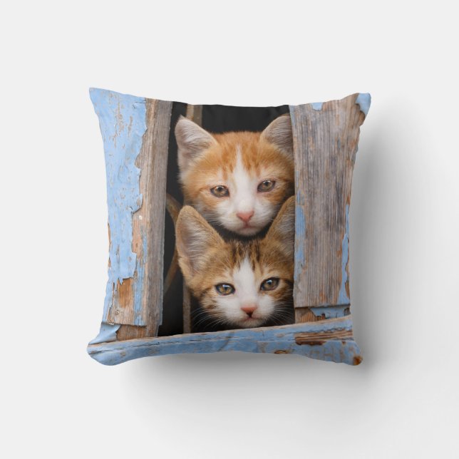 Cute Kittens in a Vintage Window, Square Cushion (Front)