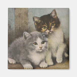 Cute Kittens Magnet