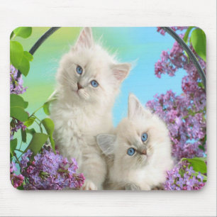 Cute Kittens Mouse Pad