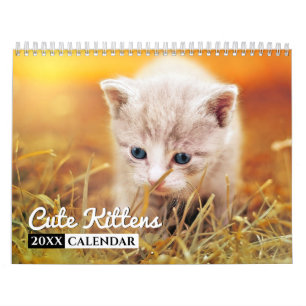 Cute Kittens Photo Wall Calendar