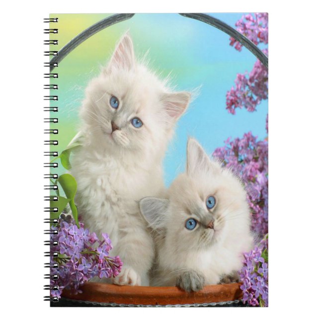 Cute Kittens Spiral Notebook (Front)
