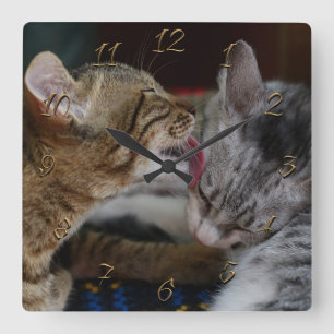 Cute kittens square wall clock
