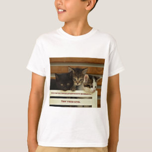 Cute kittens  T-Shirt