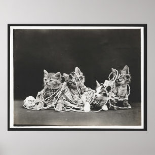 Cute Kittens Tangled In Yarn Art Print