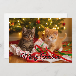 Cute Kittens Under Christmas Tree Holiday Card