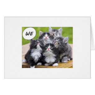 CUTE KITTENS WISH SOMEONE A HAPPY BIRTHDAY