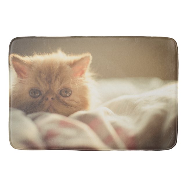 Cute kitty bath mat (Front)
