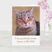 Cute Kitty Cancer Support